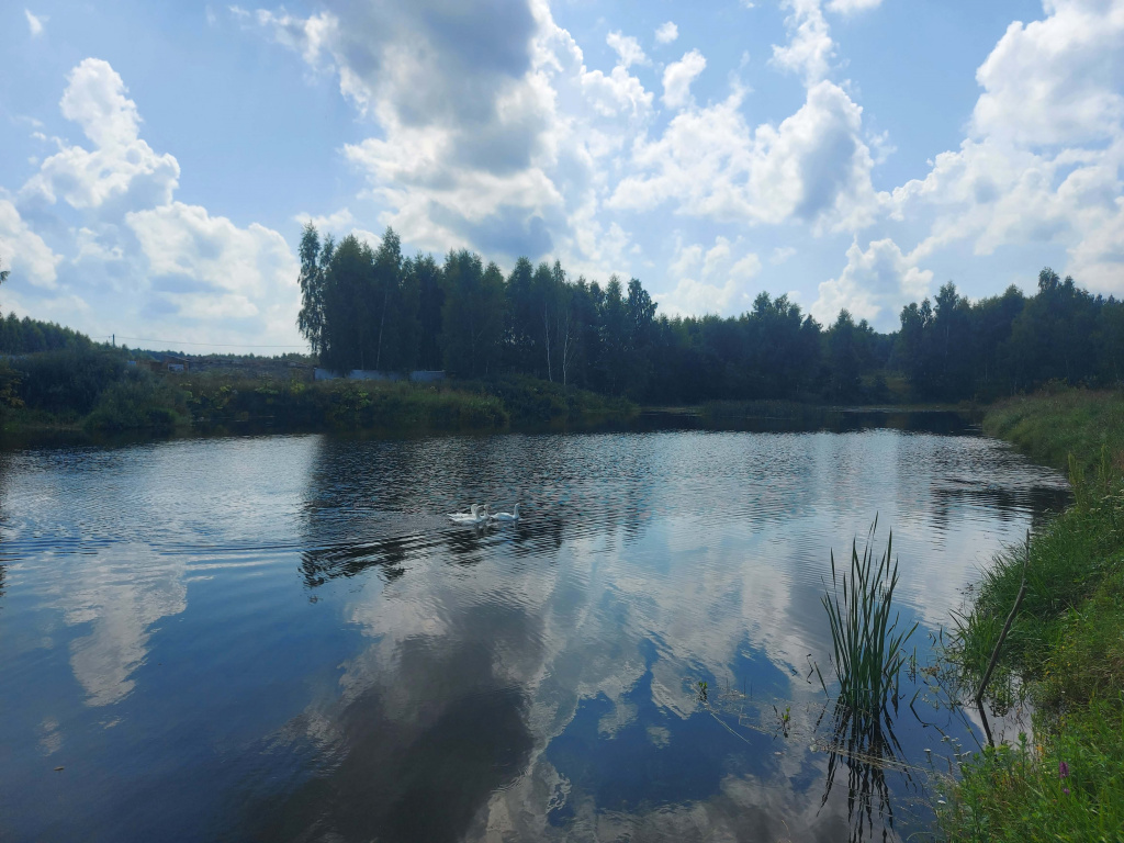 Озеро Рой Сосновский район