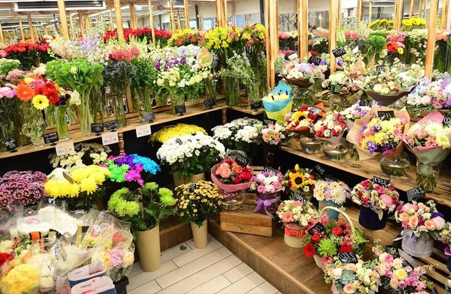 Цветы в цветочном магазине фото. Ассортимент цветочного магазина. Ассортимент цветов в цветочном магазине. Цветы магазинные. Интерьер цветочного магазина.