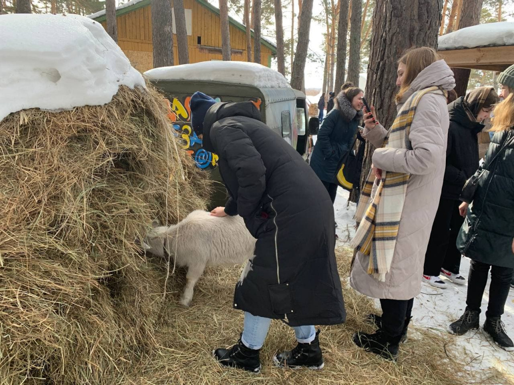 В Тюменской области проходят факультативы «Мой бизнес» 