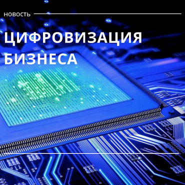 Оцифровать бизнес в Ленинградской области поможет бесплатное обучение