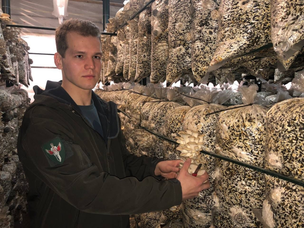Господдержка помогает волгоградскому фермеру развивать производство грибов