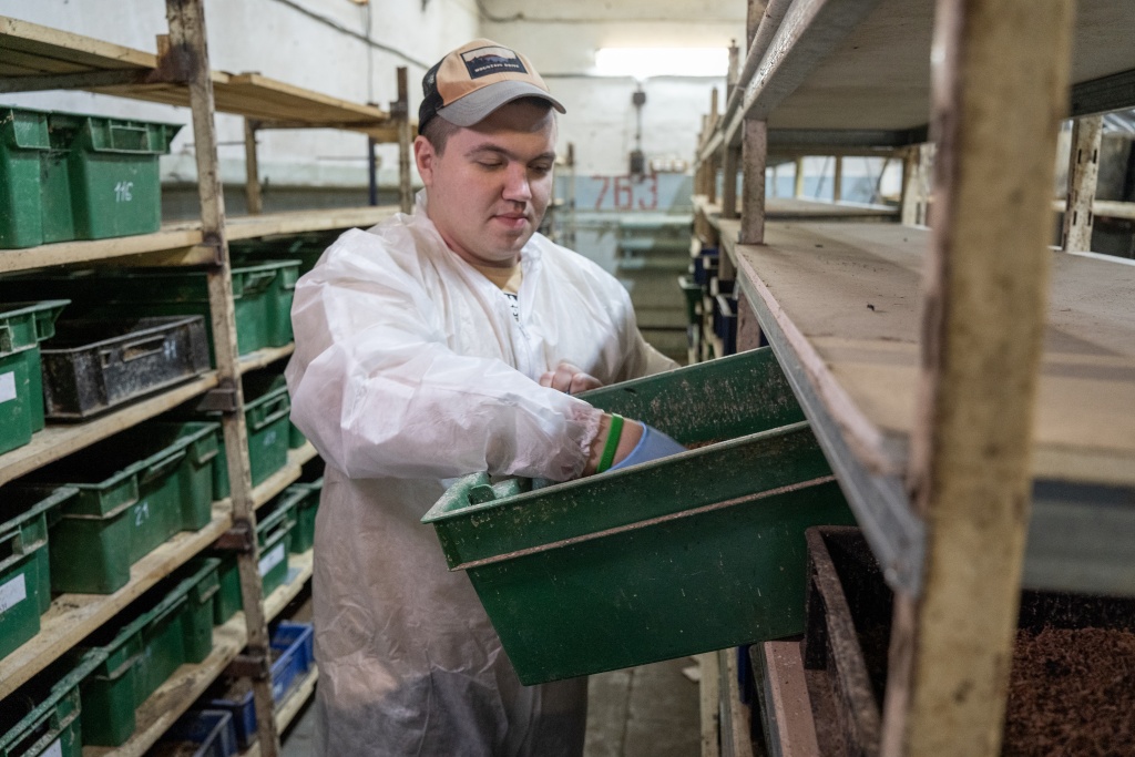 Кировский предприниматель производит корма для животных из альтернативного белка