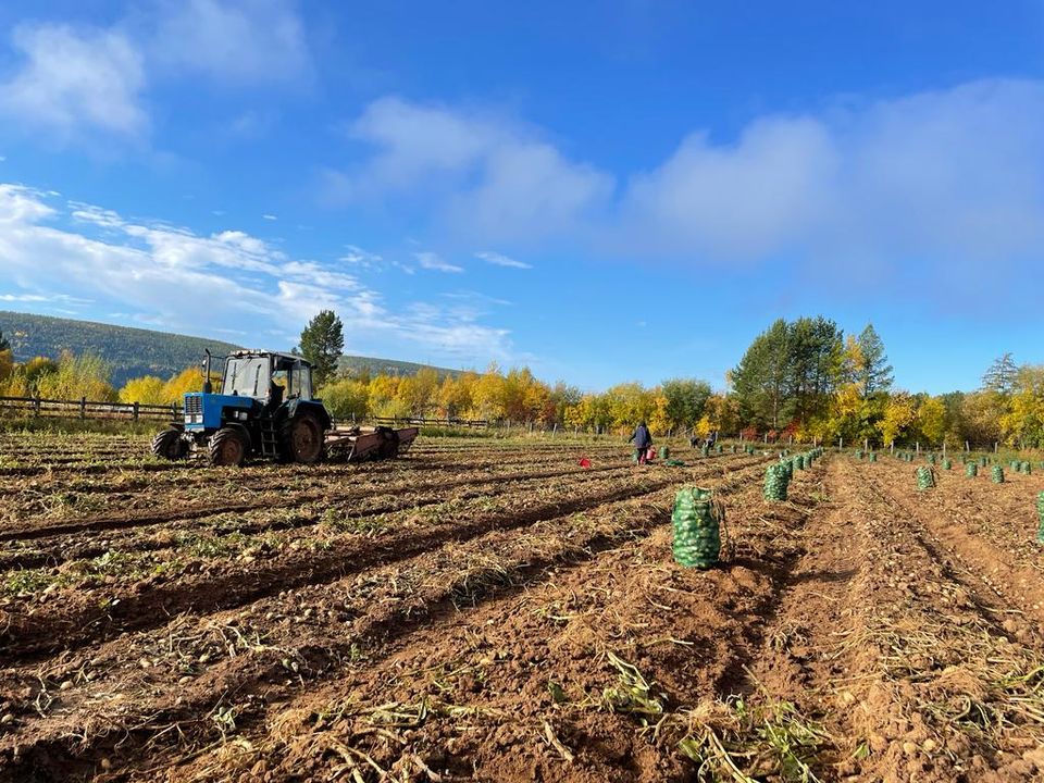 Фермер из Якутии наращивает производство сельхозпродукции