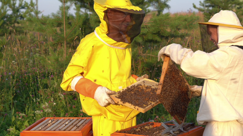 Фермер из Кировской области запускает экскурсии в деревню пчел