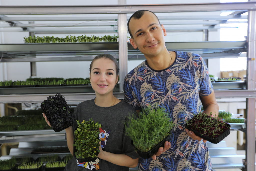 Как поддержка государства помогла магаданским производителям микрозелени расширить бизнес