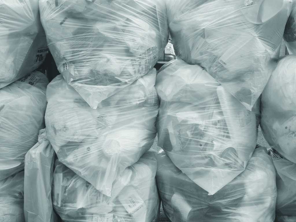 Правительство утвердило меры поддержки бизнеса по сбору и утилизации мусора