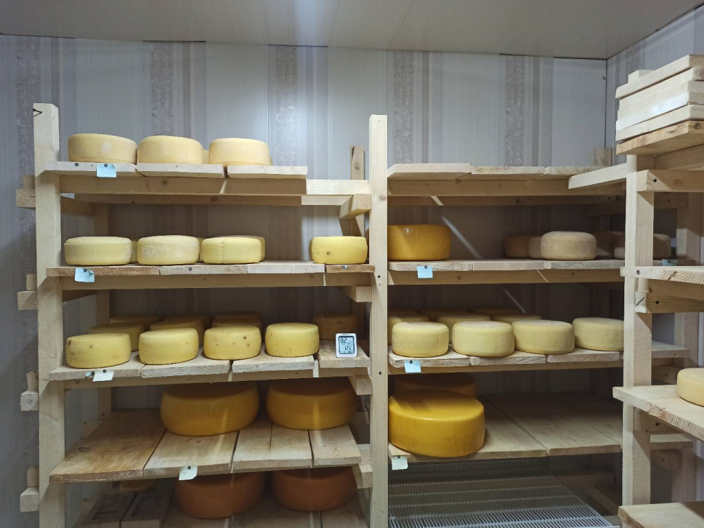 Как в глубинке Удмуртии появилась частная сыроварня, выпускающая 16 сортов сыра