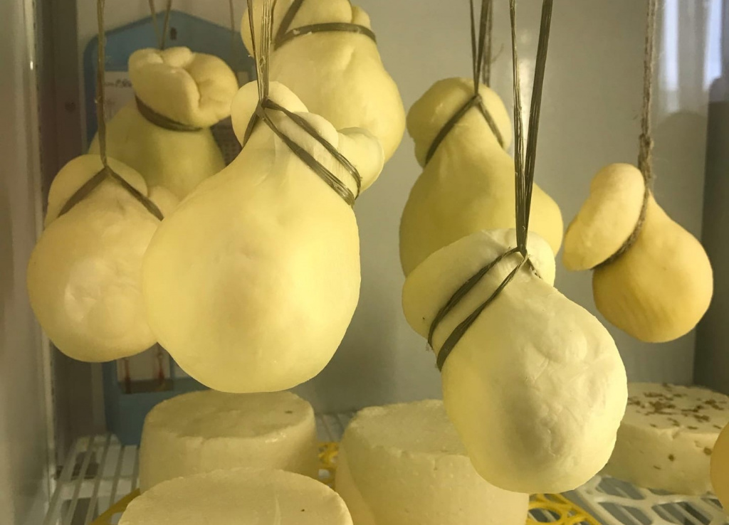 Сыр от предпринимательницы из Печоры покорил жителей республики