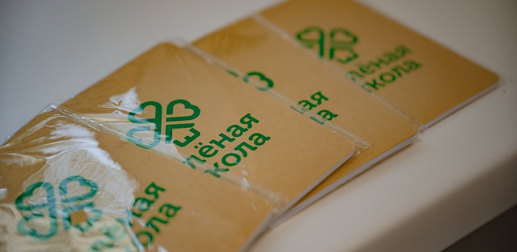 Около 10 млн рублей грантовой поддержки получил социальный бизнес Челябинской области