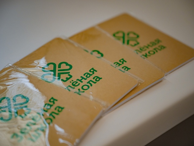 Около 10 млн рублей грантовой поддержки получил социальный бизнес Челябинской области