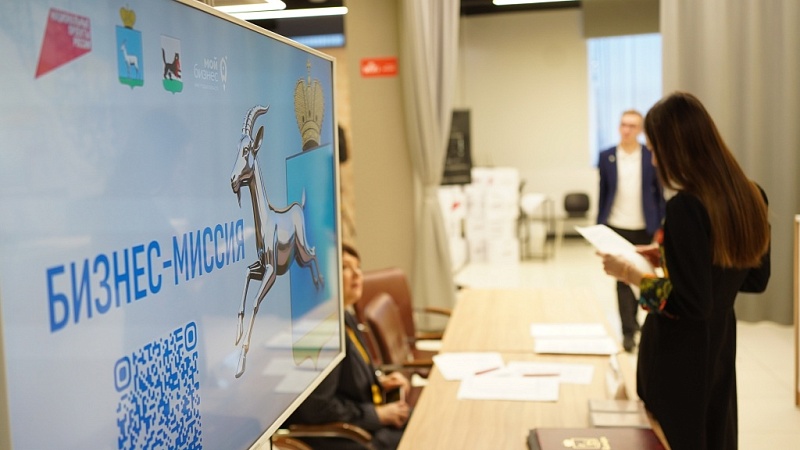 В Иркутске завершилась бизнес-миссия делегации Самары, организованная Центром «Мой бизнес»